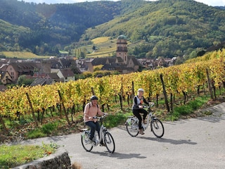 Kaysersberg Schlossberg