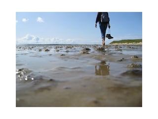 Ferienwohnung Norddeich Umgebung 5