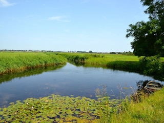 Vakantiehuis Bergen (Holland) Omgeving 20