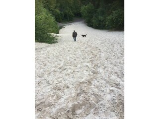 Fattoria Schoorl Ambiente 18