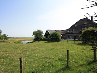 Bauernhof Schoorl Außenaufnahme 3