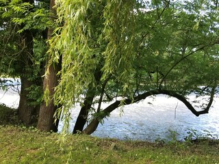 Vakantieappartement Morschen Buitenaudio-opname 7