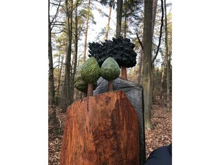 Appartamento per vacanze Morschen Ambiente 31