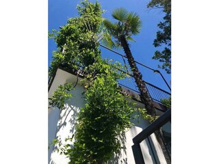 Casa per le vacanze Brezzo di Bedero Registrazione all'aperto 7