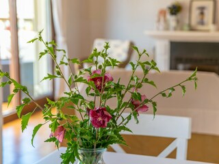 Casa per le vacanze Colonia de Sant Pere Caratteristiche 21