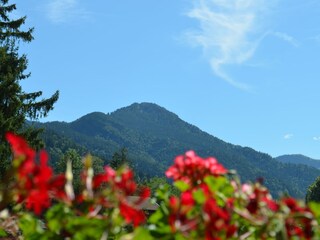 Balkonblick auf den Geierstein