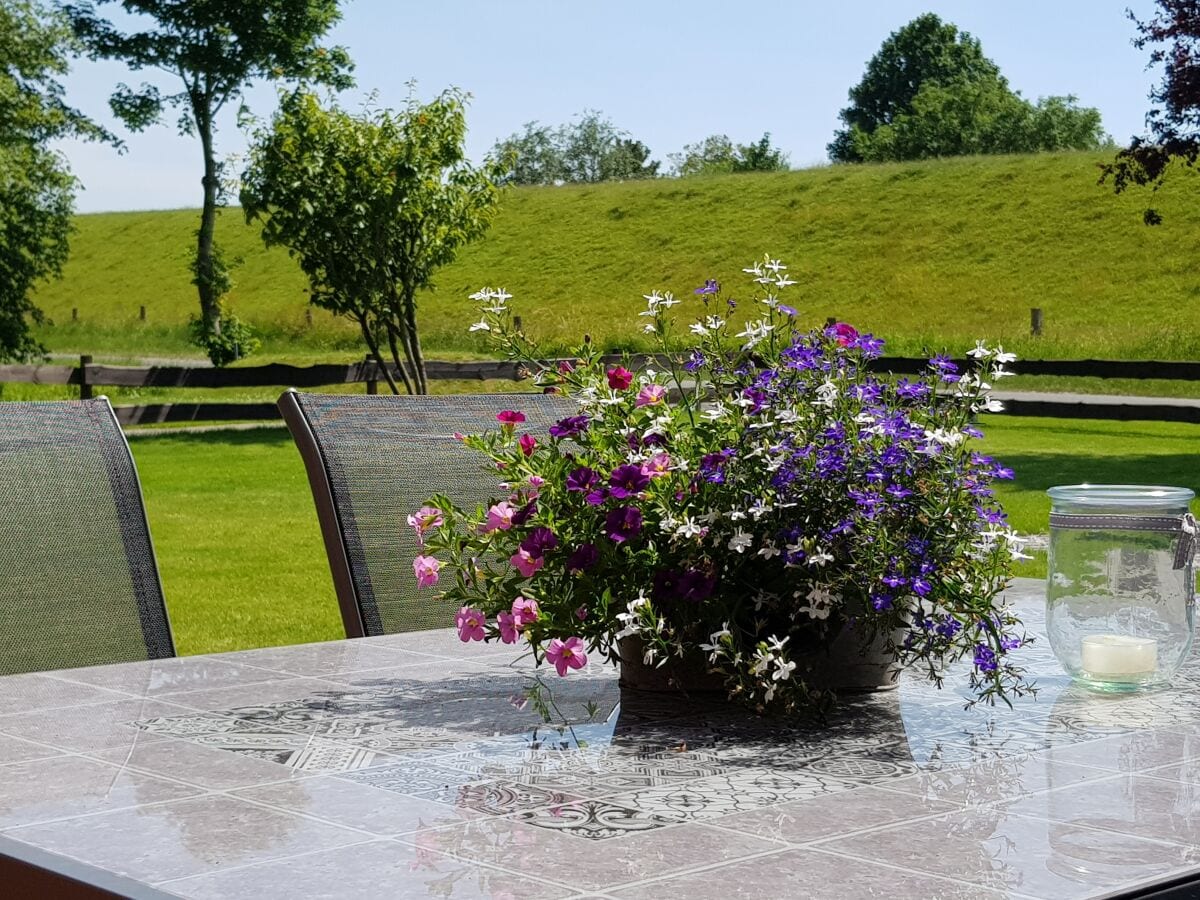 Sommer auf der Terrasse