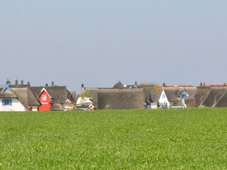 Blick vom Feldrand hinter dem Haus