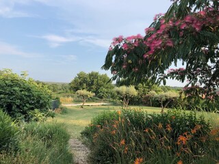 Vakantiehuis La Bruguière Buitenaudio-opname 9