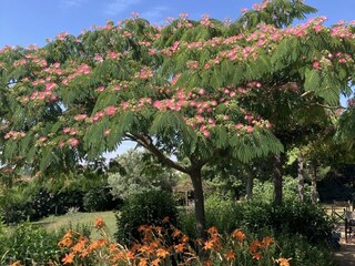 Vakantiehuis La Bruguière Buitenaudio-opname 15