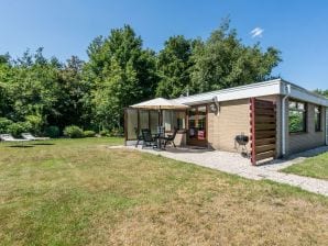 Ferienhaus Bongerd 51 - Renesse - image1