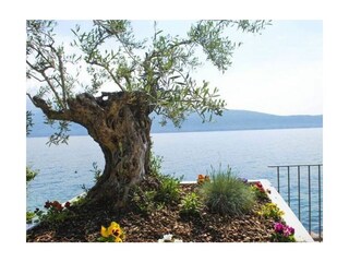Holiday apartment Toscolano-Maderno Outdoor Recording 10