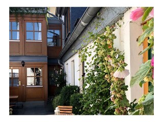Ferienwohnung Warnemünde  13