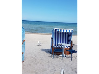 Strand mit Strandkorb
