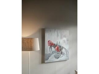 Vakantieappartement Keitum Buitenaudio-opname 19