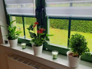 Casa per le vacanze Röbel Müritz Caratteristiche 13