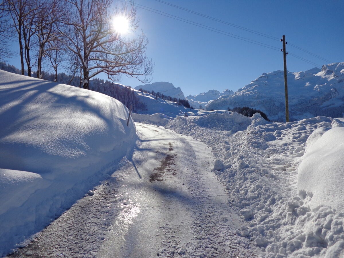 Wintermorgen