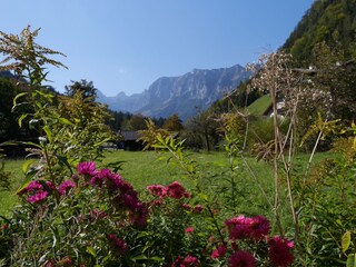 Apartamento de vacaciones Ramsau bei Berchtesgaden Grabación al aire libre 7