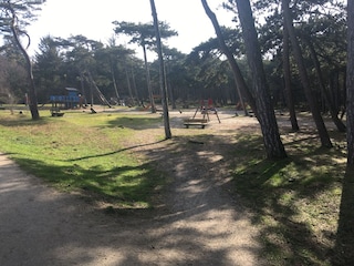 Der schöne Waldspielplatz