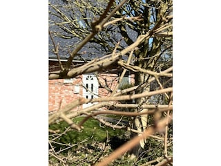 In der Frühlingssonne