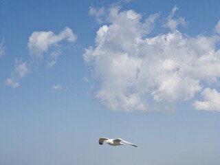 Chalet Burgerbrug Ambiente 16