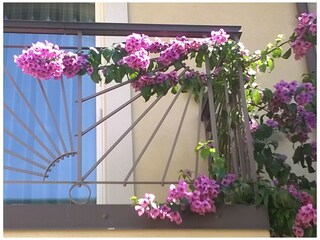Holiday house Malcesine Outdoor Recording 11