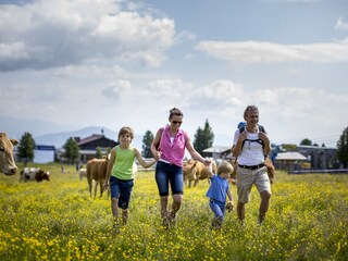 Chalet St. Georgen ob Murau Ambiente 18