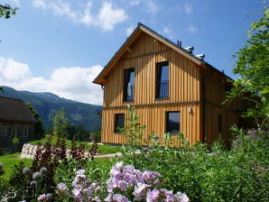 Vakantieappartement Zinkenstadl - Bad Mitterndorf - image1