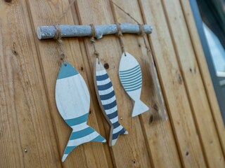 Casa per le vacanze Vrouwenpolder  38