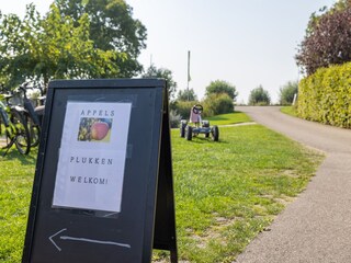 Vakantiehuis Vrouwenpolder Omgeving 33