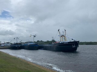 Vakantiehuis Vrouwenpolder Omgeving 33