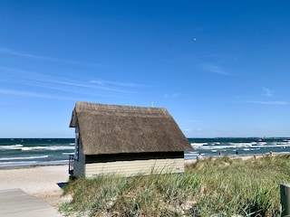 Ferienwohnung Haffkrug Umgebung 26