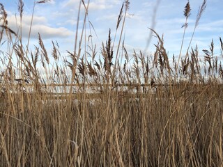Casa per le vacanze Medemblik Ambiente 33