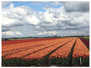 Casa per le vacanze Medemblik Ambiente 26