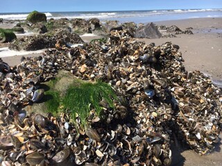 Casa per le vacanze Medemblik Ambiente 28