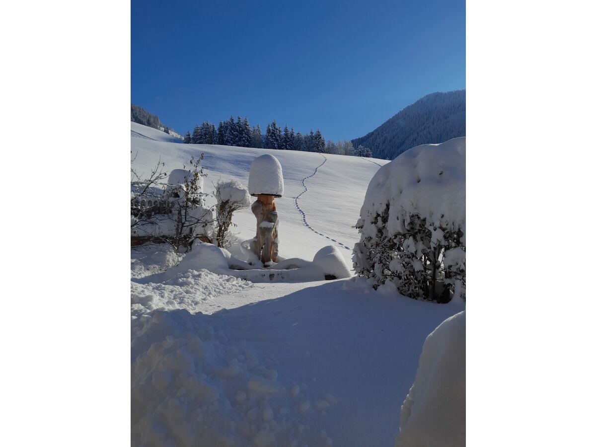 Ferienwohnung Aurach bei Kitzbühel Umgebung 23