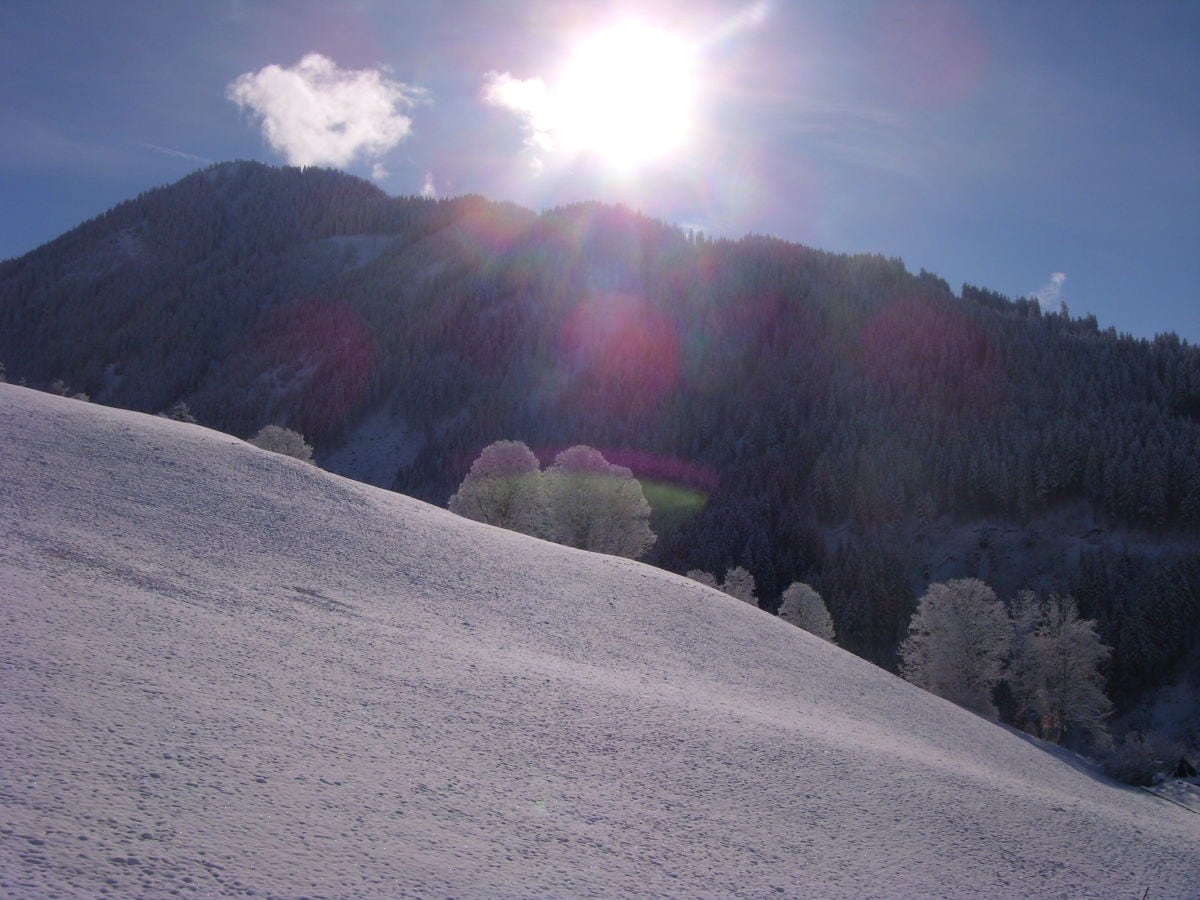 Aussicht im Winter