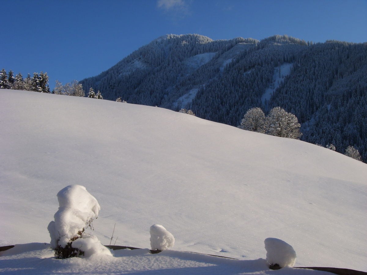 Ferienwohnung Aurach bei Kitzbühel Umgebung 22