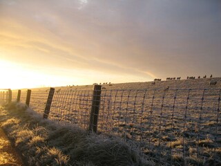 Sonnenaufgang am Winter-Nordseedeich