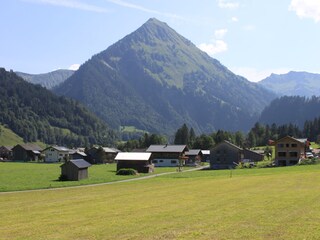 Appartamento per vacanze Schoppernau Registrazione all'aperto 9