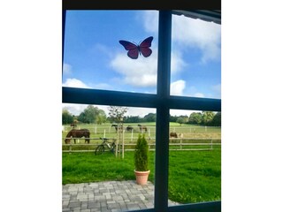 Appartamento per vacanze Eckernförde Registrazione all'aperto 5