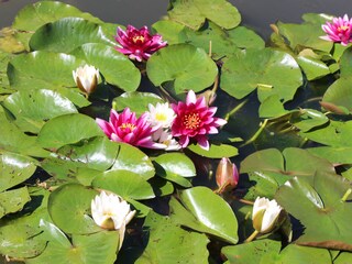 Appartamento per vacanze Eckernförde Documento 24