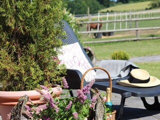 Appartamento per vacanze Eckernförde Documento 25