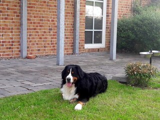 Apartamento de vacaciones Eckernförde Entorno 19