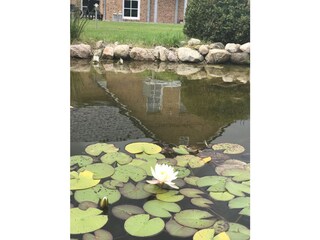 Appartamento per vacanze Eckernförde Registrazione all'aperto 4