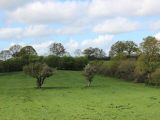 Apartamento de vacaciones Eckernförde Entorno 18