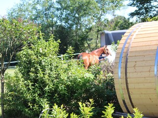 Apartamento de vacaciones Eckernförde Grabación al aire libre 9