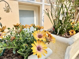 Appartamento per vacanze Limone sul Garda Registrazione all'aperto 2