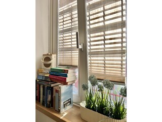 Appartamento per vacanze Limone sul Garda Caratteristiche 11