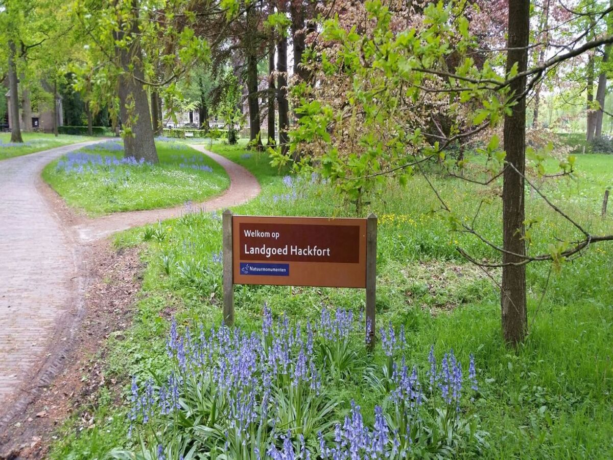 Ferienhaus Baak Umgebung 32